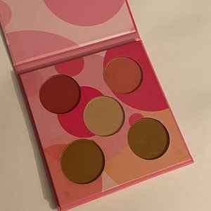 coastal scents blush and bronzer mini palette